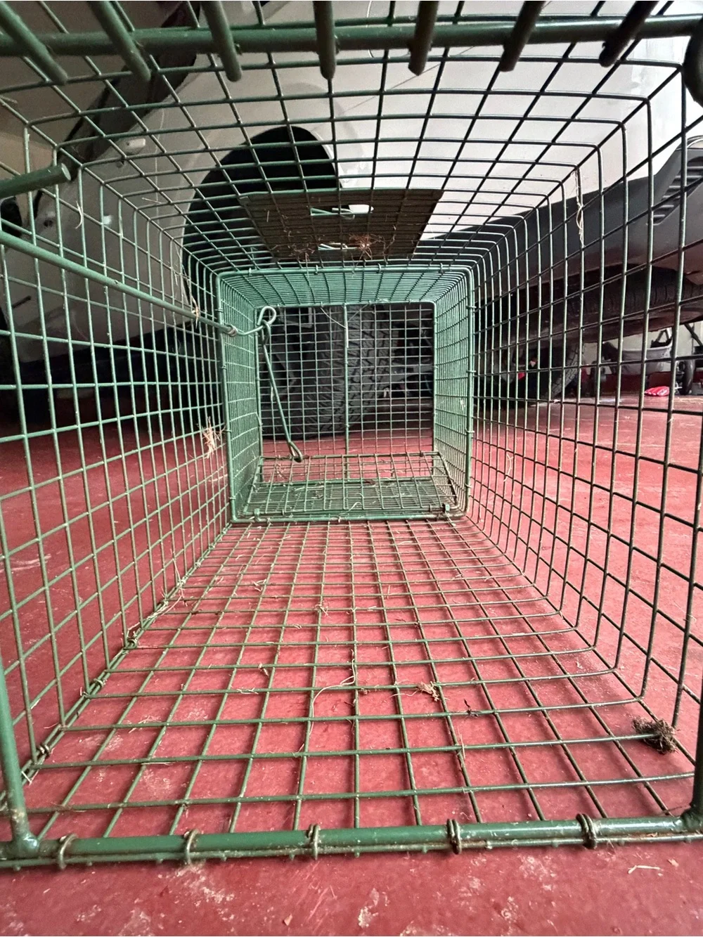 Duke Traps HD Large Cage Trap with Top Carry Handle